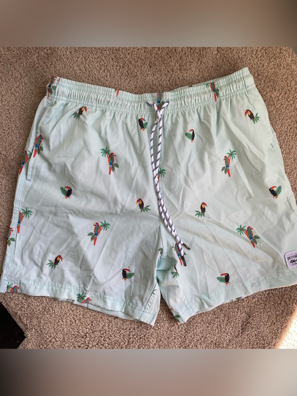 Men's Tropical Toucan Swim Trunks Large